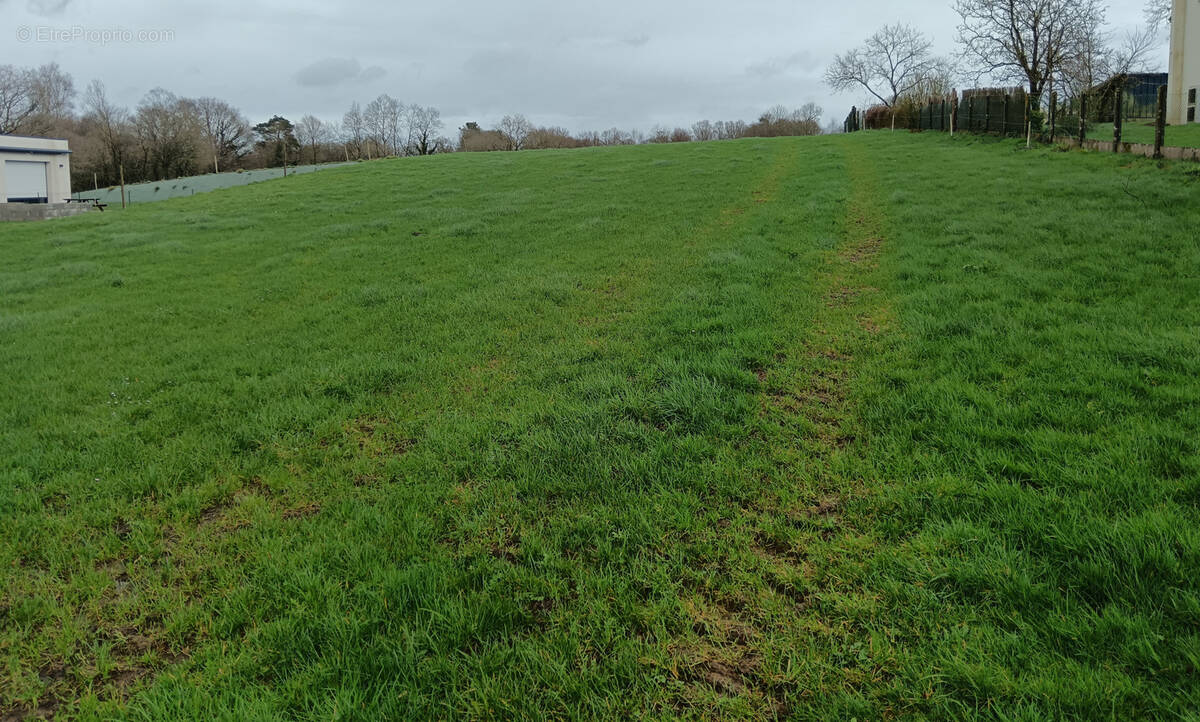 Terrain à MALGUENAC