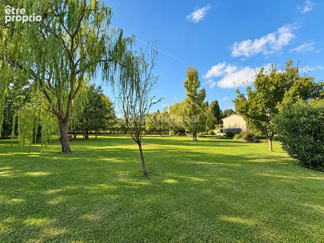 Salon-de-Provence (Bel-Air) : Propriété sur 5000 m² avec piscine - photo 22