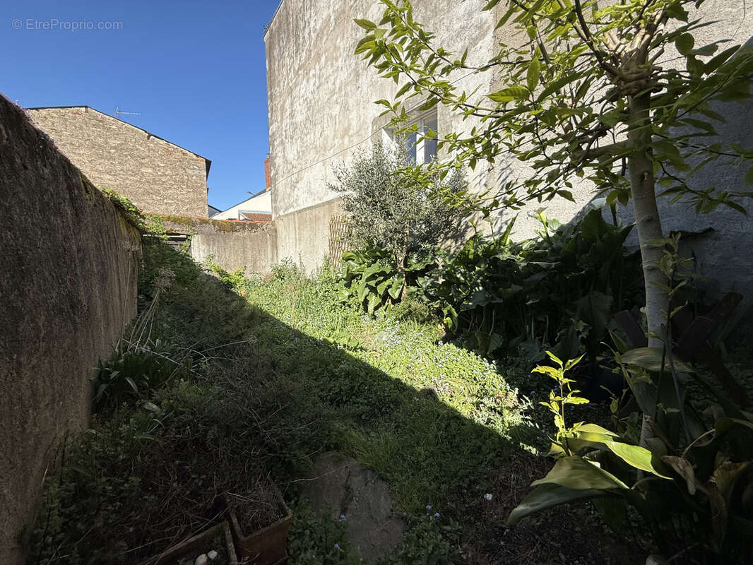 Maison à VIEILLEVIGNE