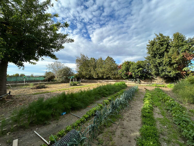 Maison à PIERRELATTE