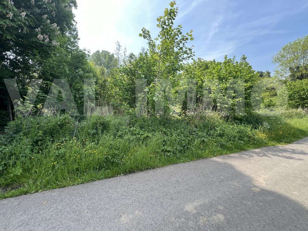 IMG_9069 - Terrain à ARLEUX