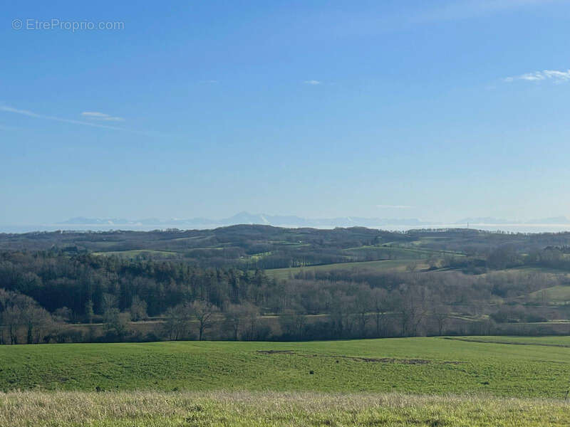 Maison à CASTELNAVET