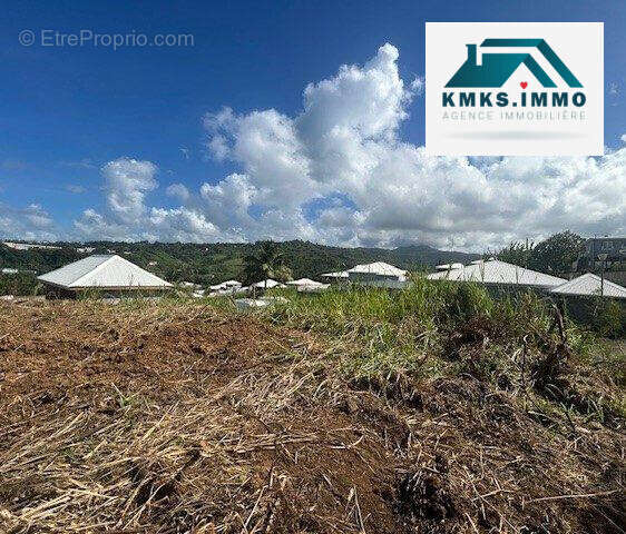 Terrain à LE LORRAIN