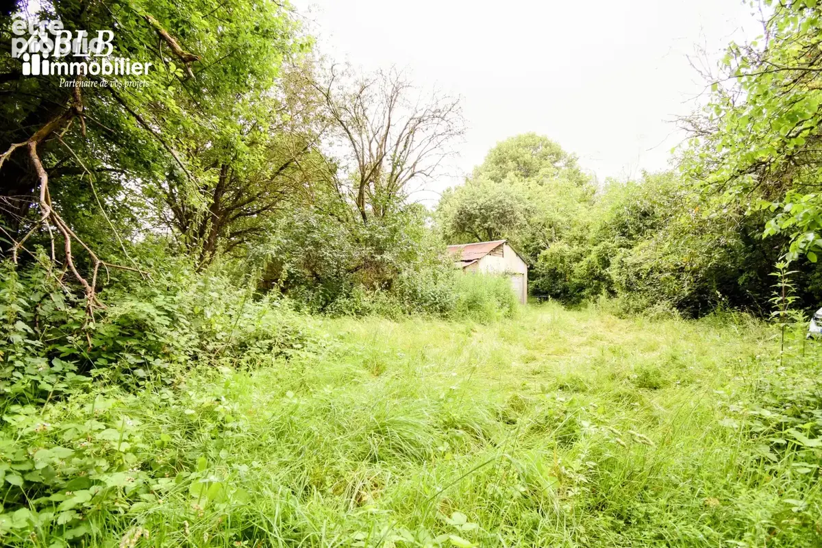 Terrain - les breviaires - photo 2