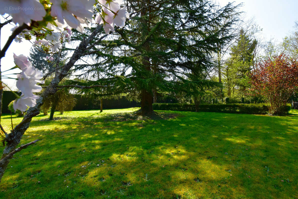 Maison à LES ESSARTS-LE-ROI