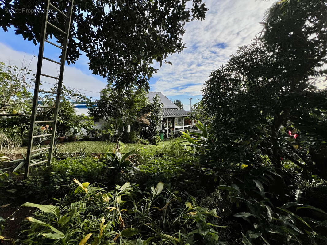 Maison à SAINT-PIERRE