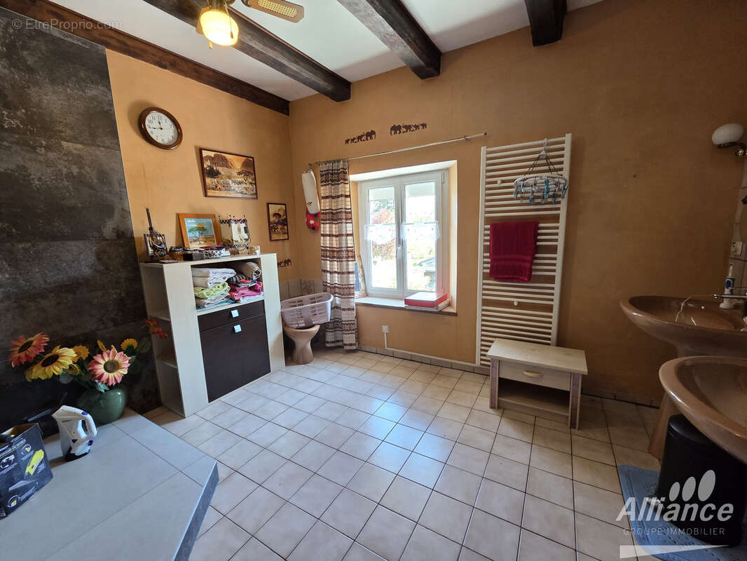 Maison 6 pièces BADEVEL - 169 hab, 17 ares de terrain, dépendance - photo 8