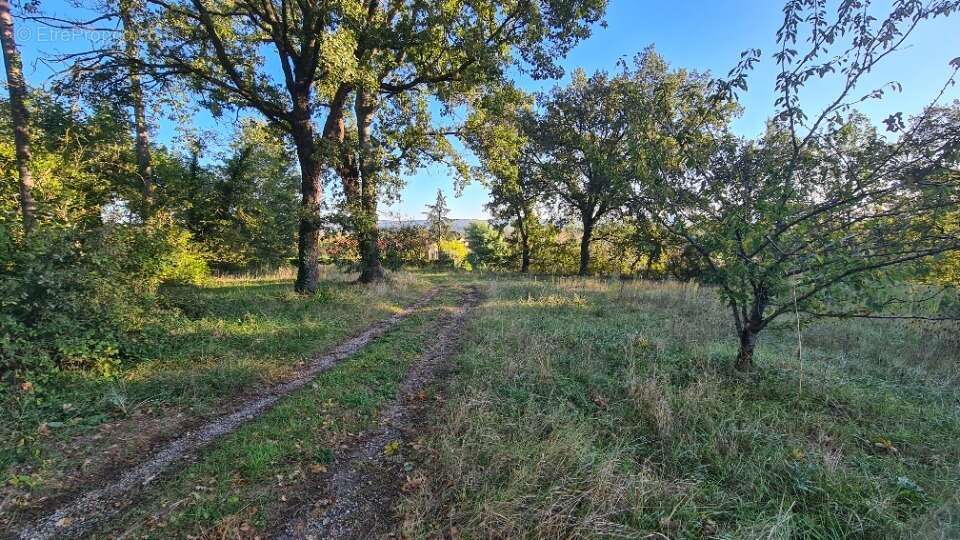 Terrain à SAINT-PAUL-CAP-DE-JOUX