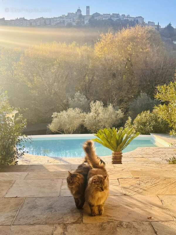 Maison à SAINT-PAUL