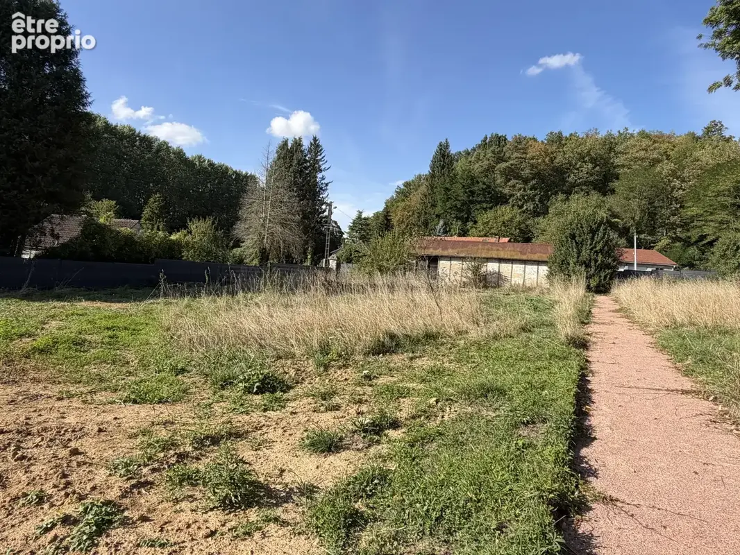 A l'oree de la foret - photo 2
