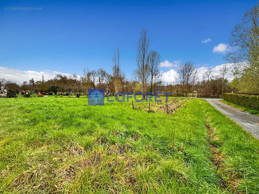 Terrain à AZAY-LE-RIDEAU