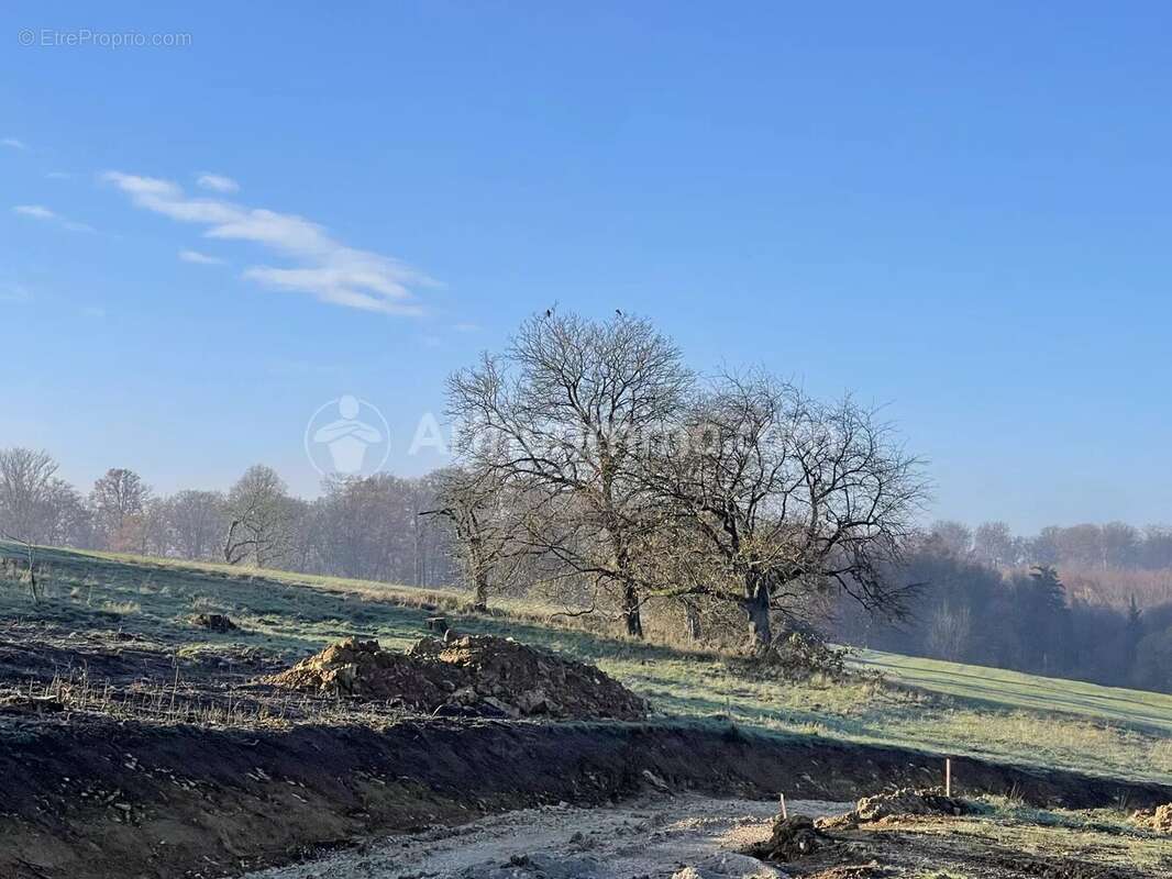 Terrain à FESCHES-LE-CHATEL