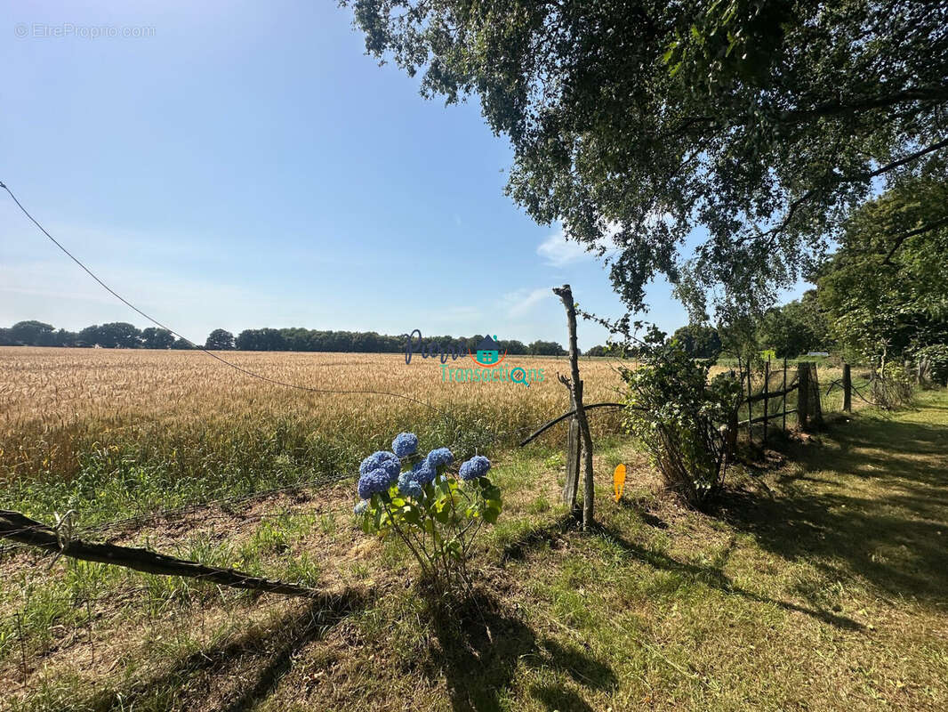 Terrain à LILLEBONNE