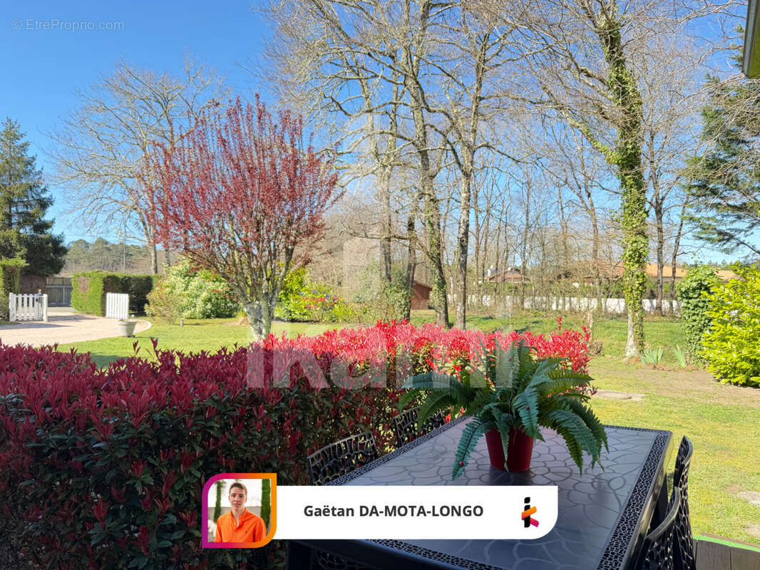 Maison familiale avec dépendances   cadre exceptionnel en lisière de forêt - photo 25