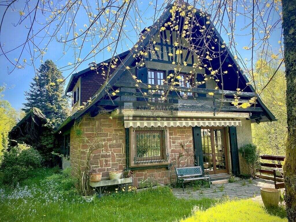 Maison à LE HOHWALD