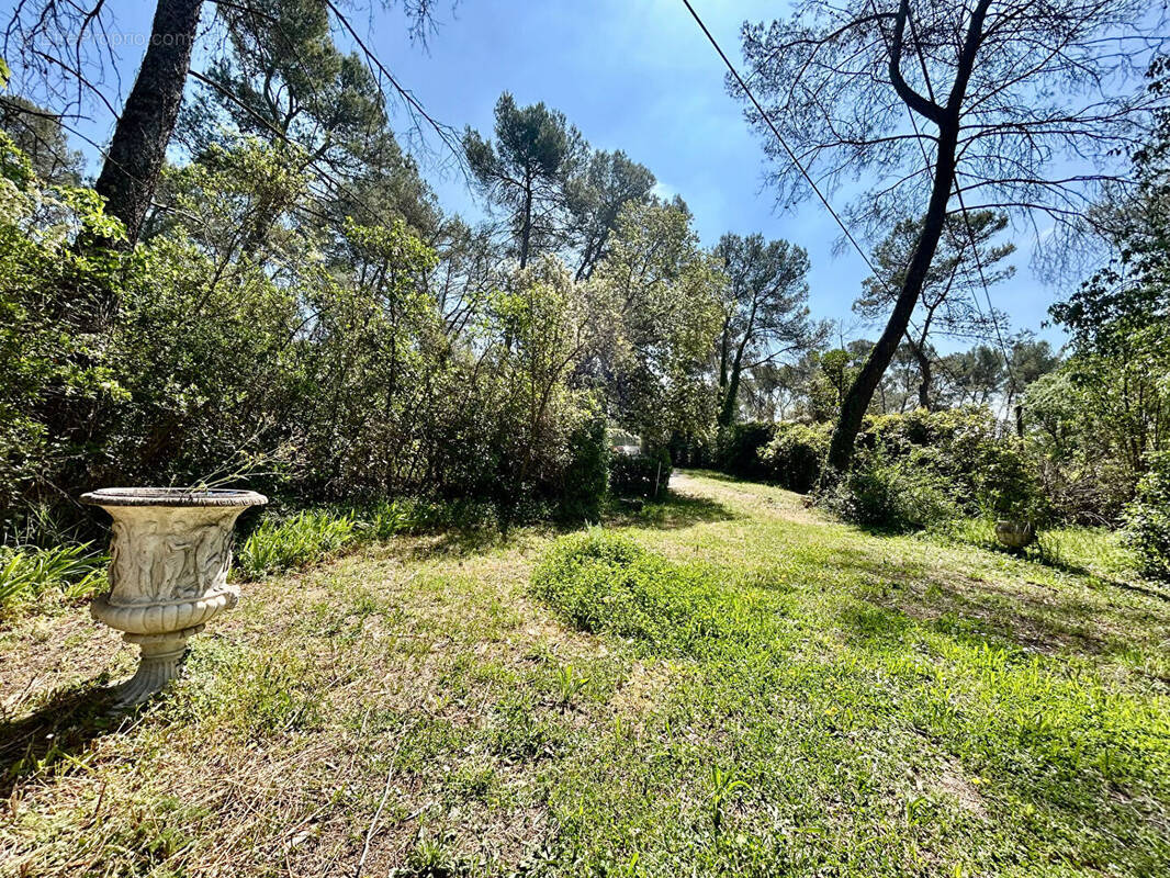 Terrain à MONTFERRIER-SUR-LEZ