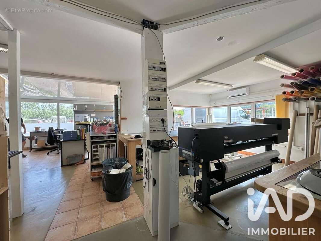 Photo 5