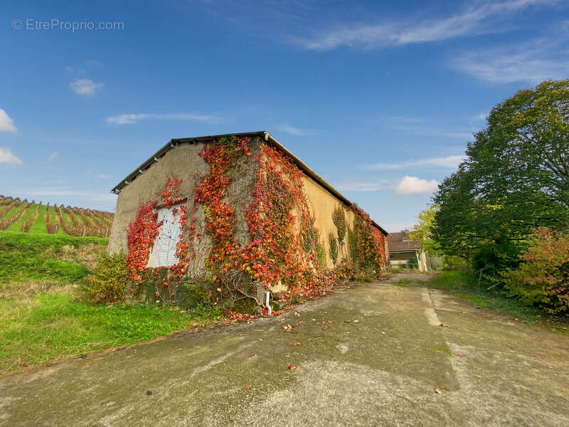 Dpt Gers (32), à vendre Proche de RISCLE château T6 de 327 m² habitables + 580 m² de dépendances attenantes sur 8157 m² de terra - photo 24