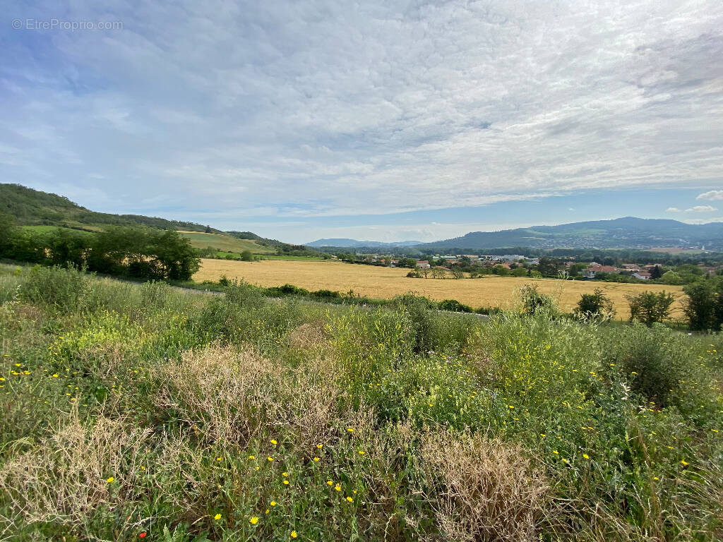 Terrain à LES MARTRES-DE-VEYRE