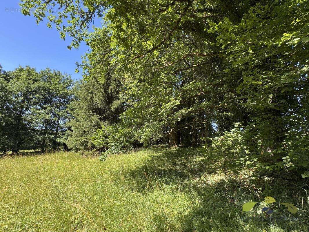 Maison 232 m² à Chamberet  - photo 10
