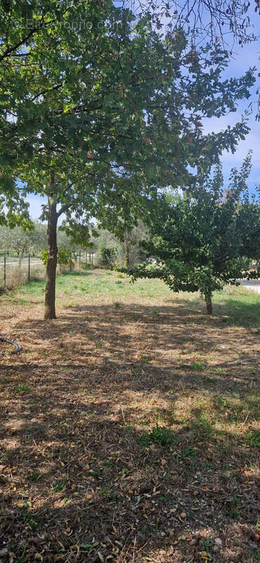 Terrain à CARPENTRAS