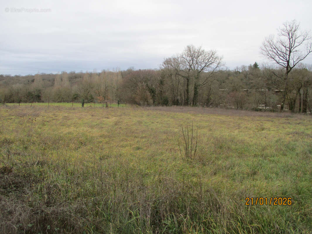 Terrain à CEAUX-EN-COUHE