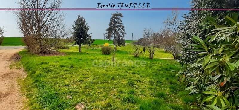 Maison à RUILLE-SUR-LOIR