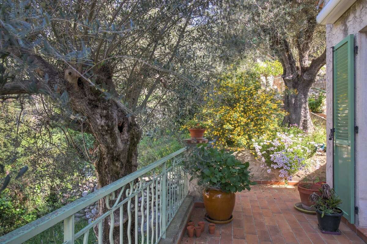 Maison à SAINT-MARTIN-DU-VAR