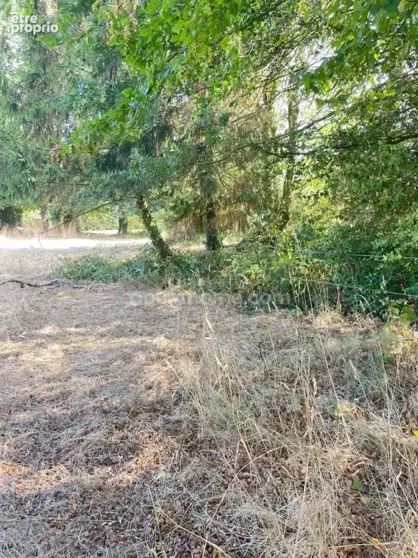Belle opportunité ! Terrain de 1 606 m² avec large façade PLOERMEL (56) - photo 7
