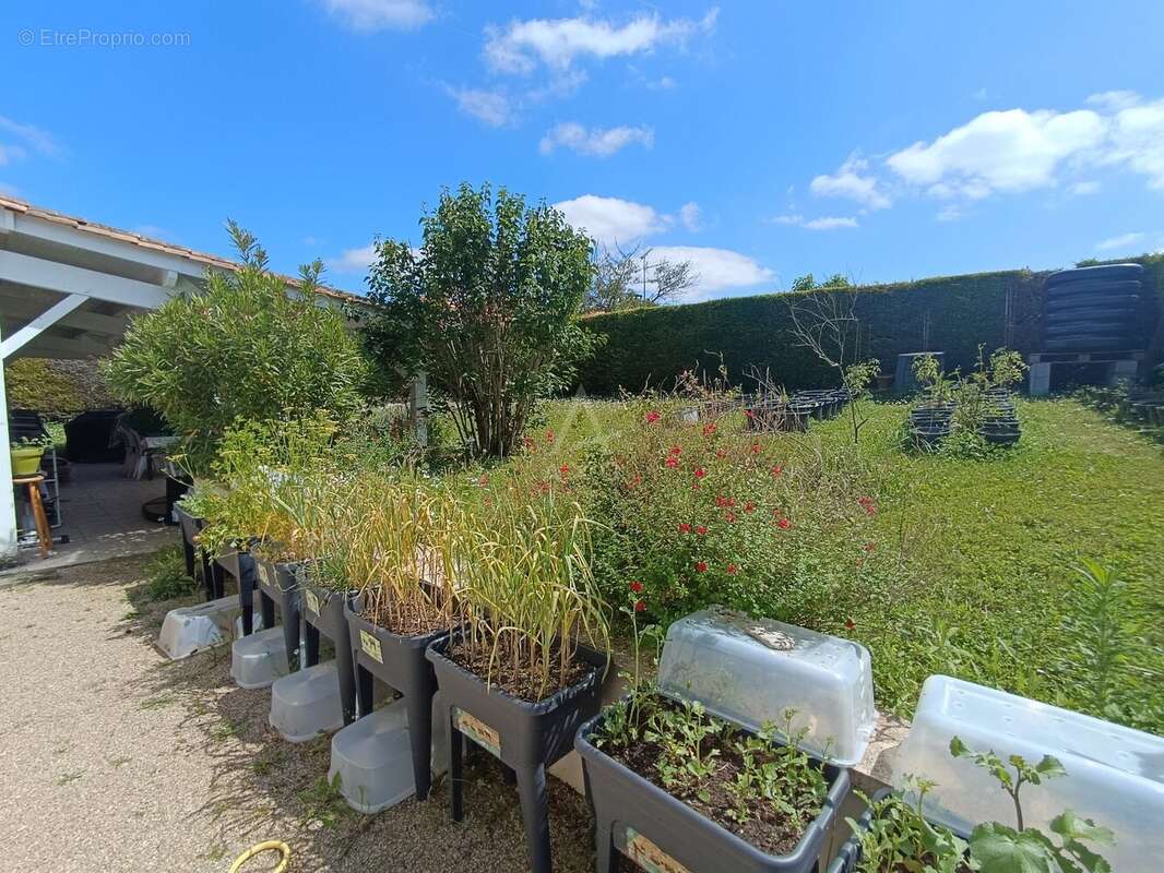 Maison de plain-pied avec jardin arboré  Magnac-sur-Touvre - photo 12