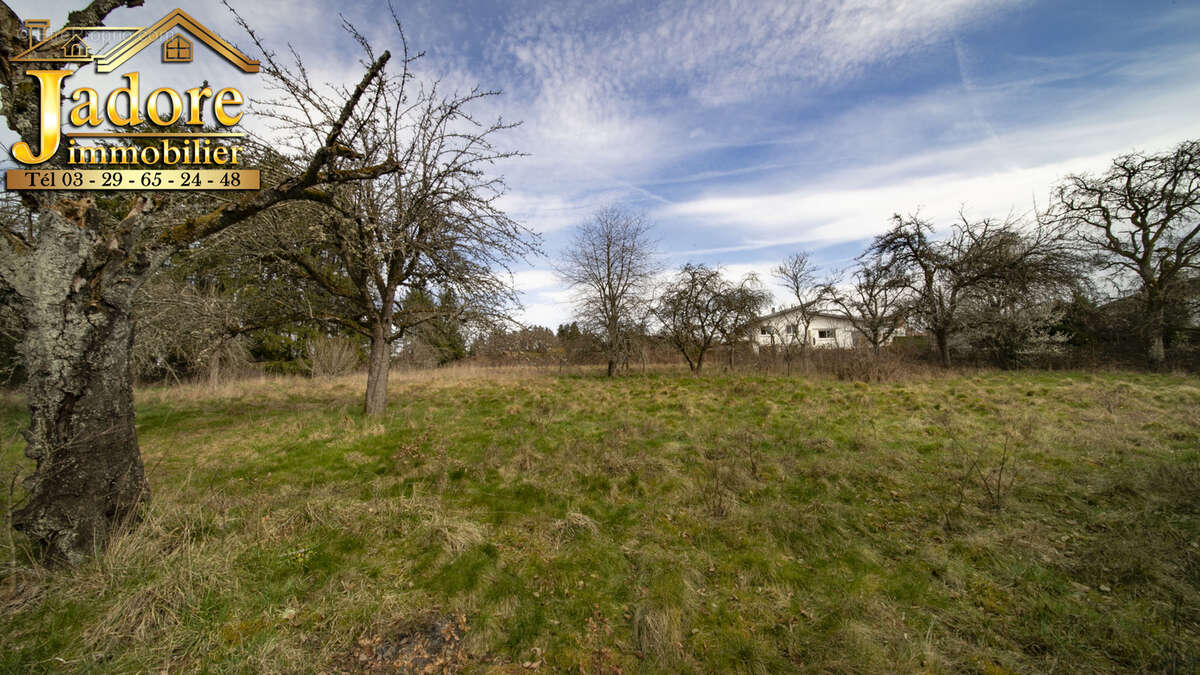 Immeuble + grand terrain constructible - photo 5