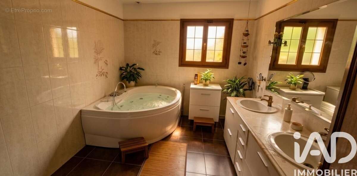 Photo 9 - Maison à SAINT-JEAN-LE-BLANC