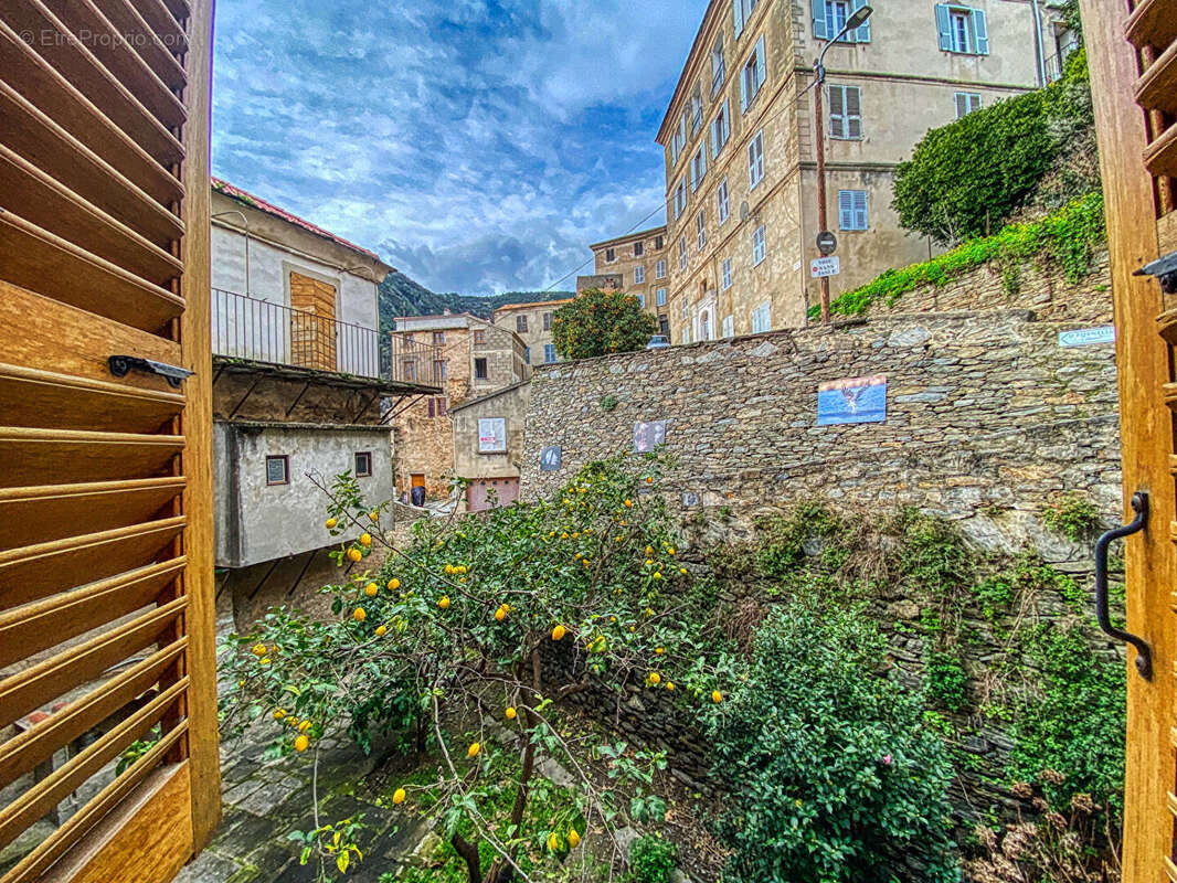 Appartement à CERVIONE