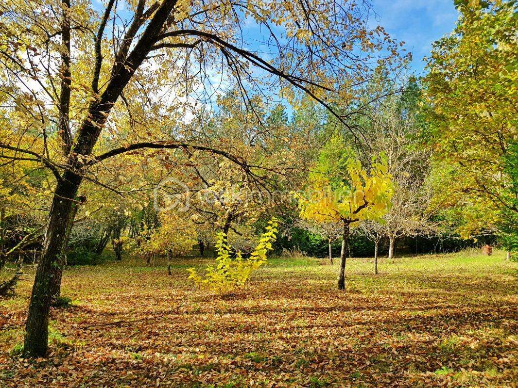 Maison à SAINT-DAUNES