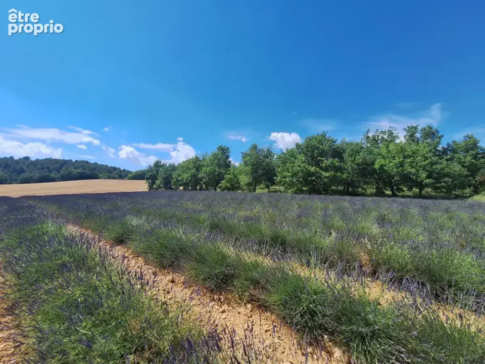 Terrain à ROUMOULES