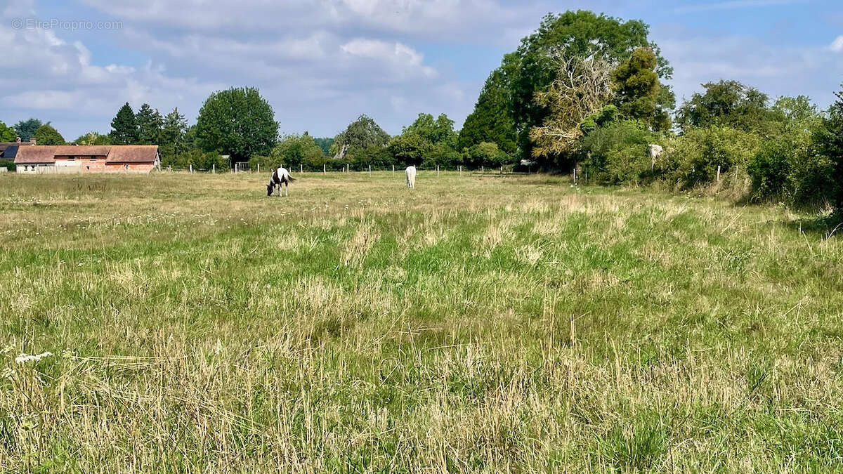 Terrain à LA CROISILLE