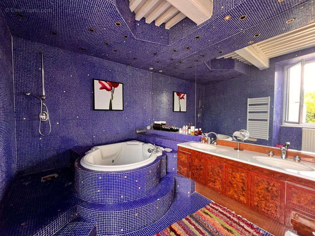 Propriété de charme avec dépendance et piscine - photo 9