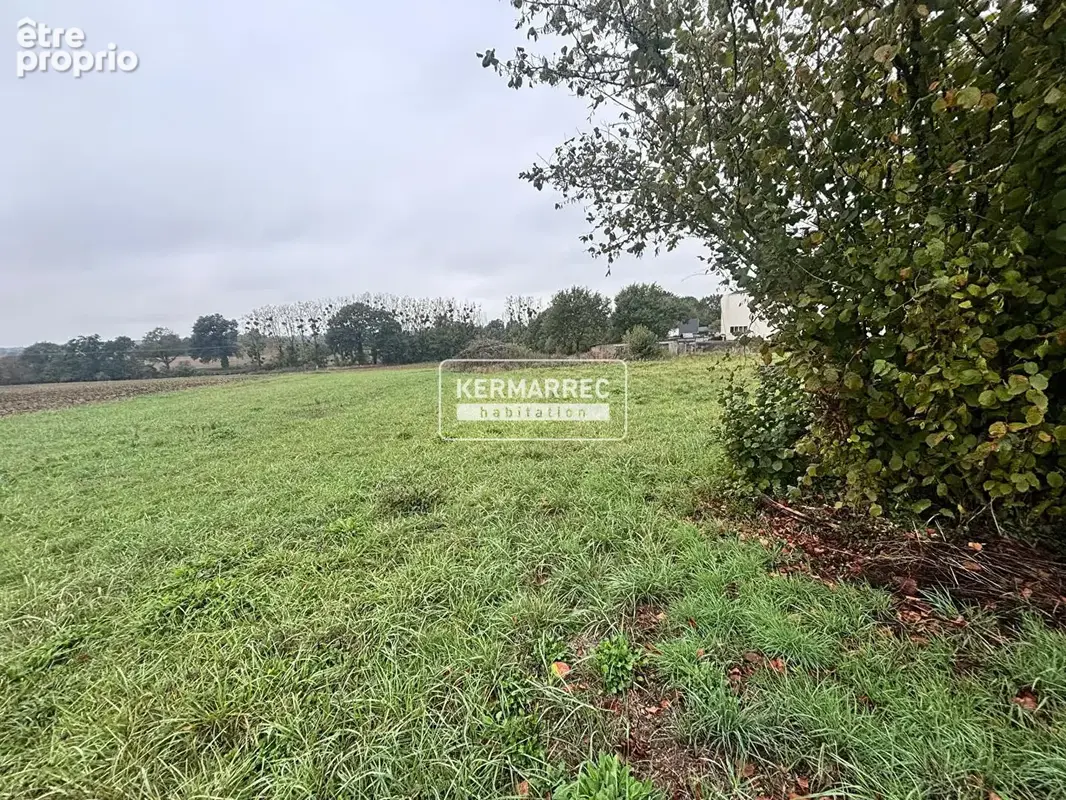 A VENDRE Maison Etrelles 4 pièce(s) 85.39 m2 - 173 200 HAI - photo 5