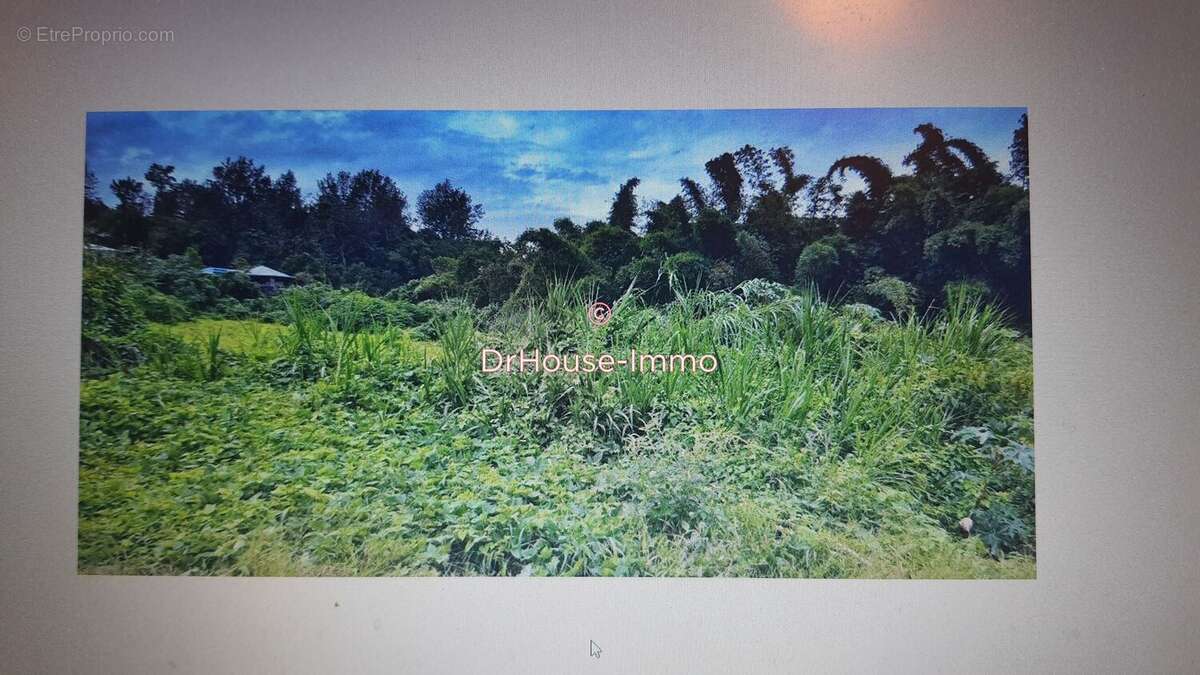 Terrain à LE TAMPON