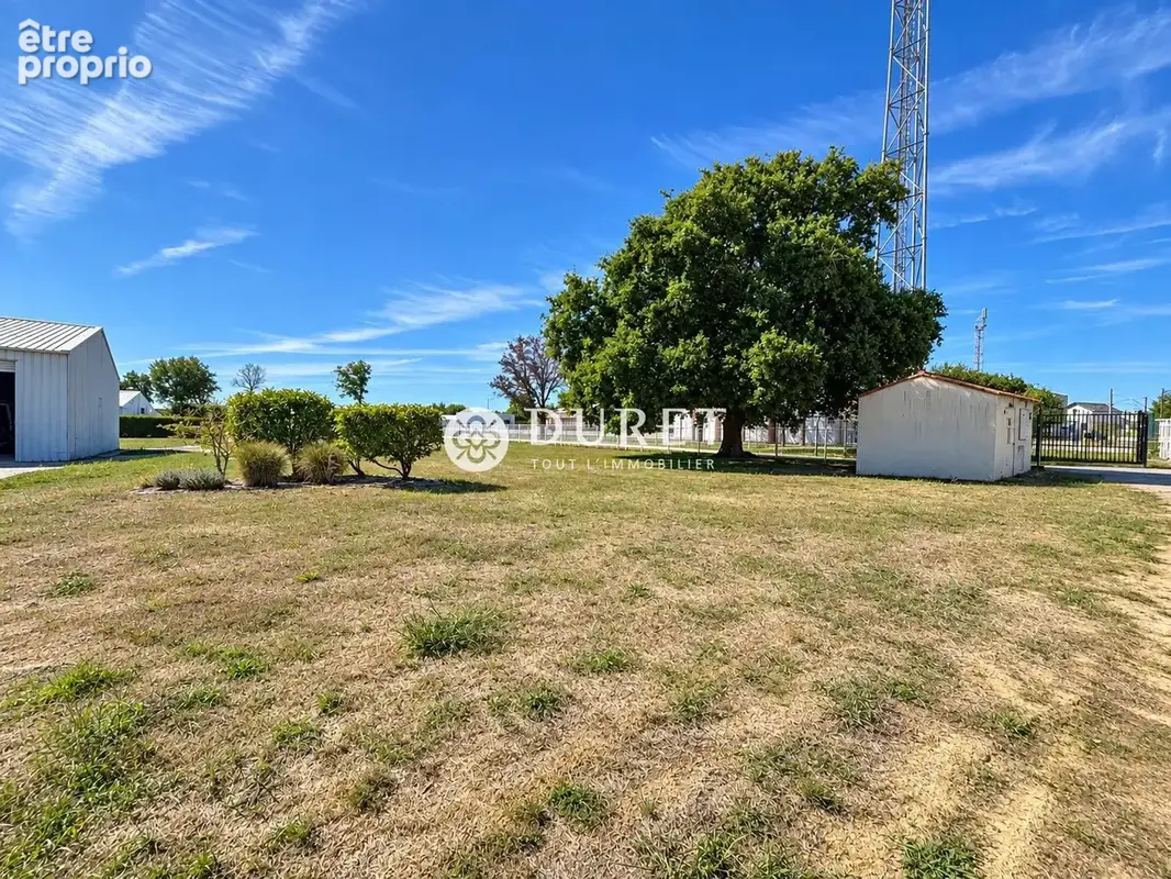 Commerce 1 106 m² à vendre à Le Girouard (85150) - photo 2