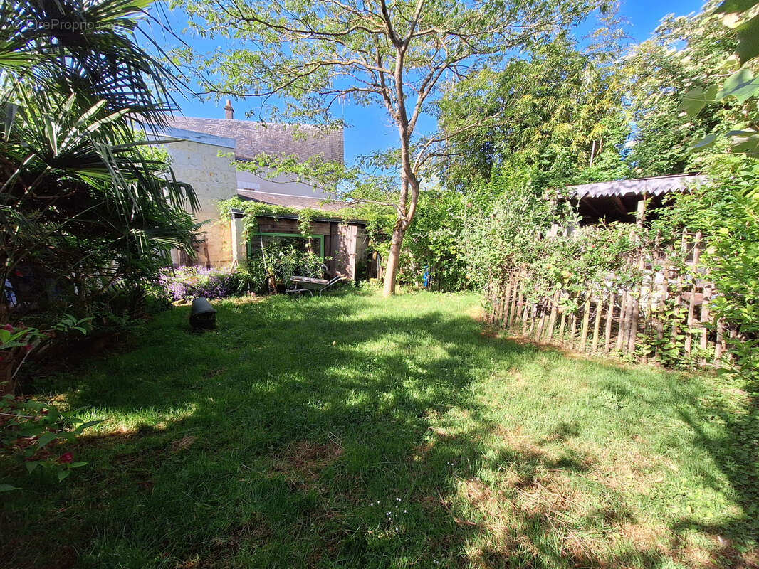 Maison à FONTEVRAUD-L'ABBAYE