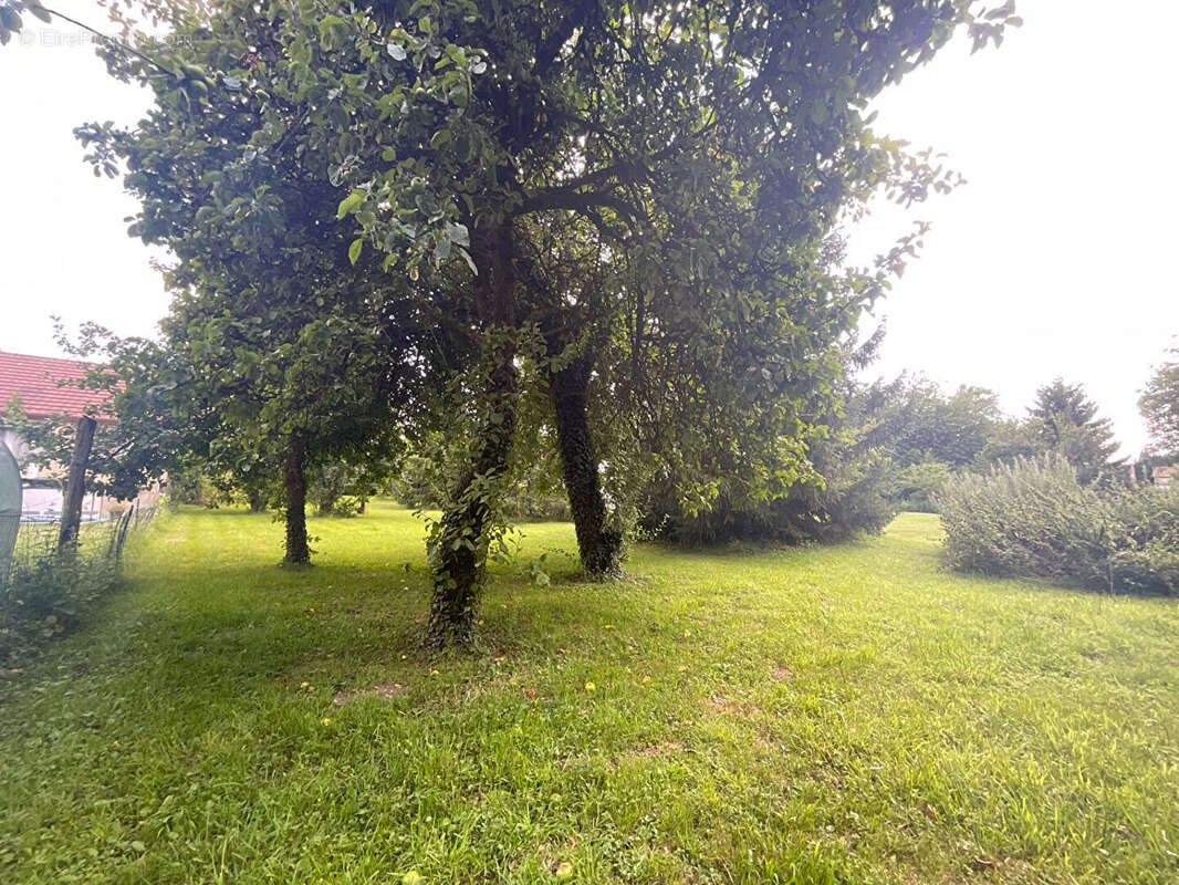 Terrain à AUTHUILLE