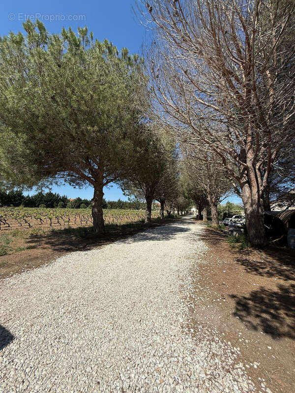 Maison à ESPIRA-DE-L'AGLY