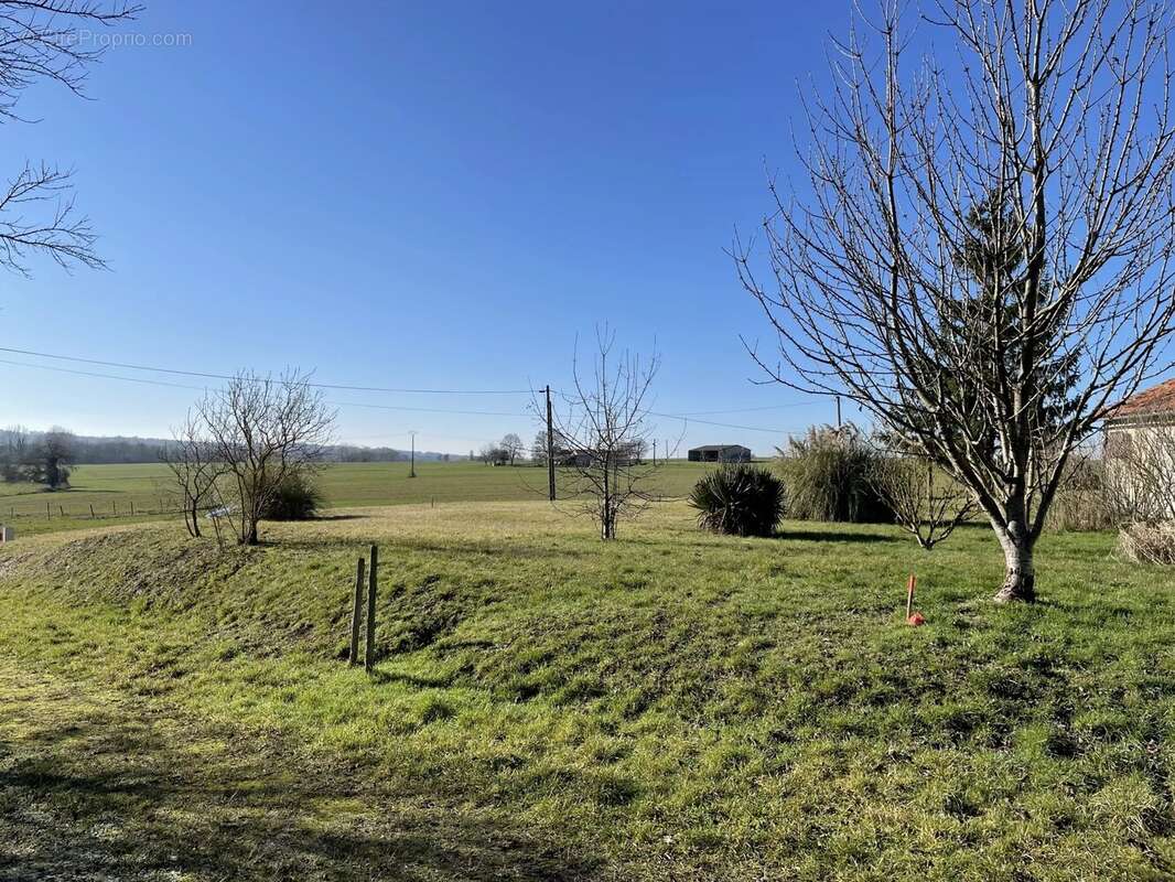 Terrain à VERTEILLAC