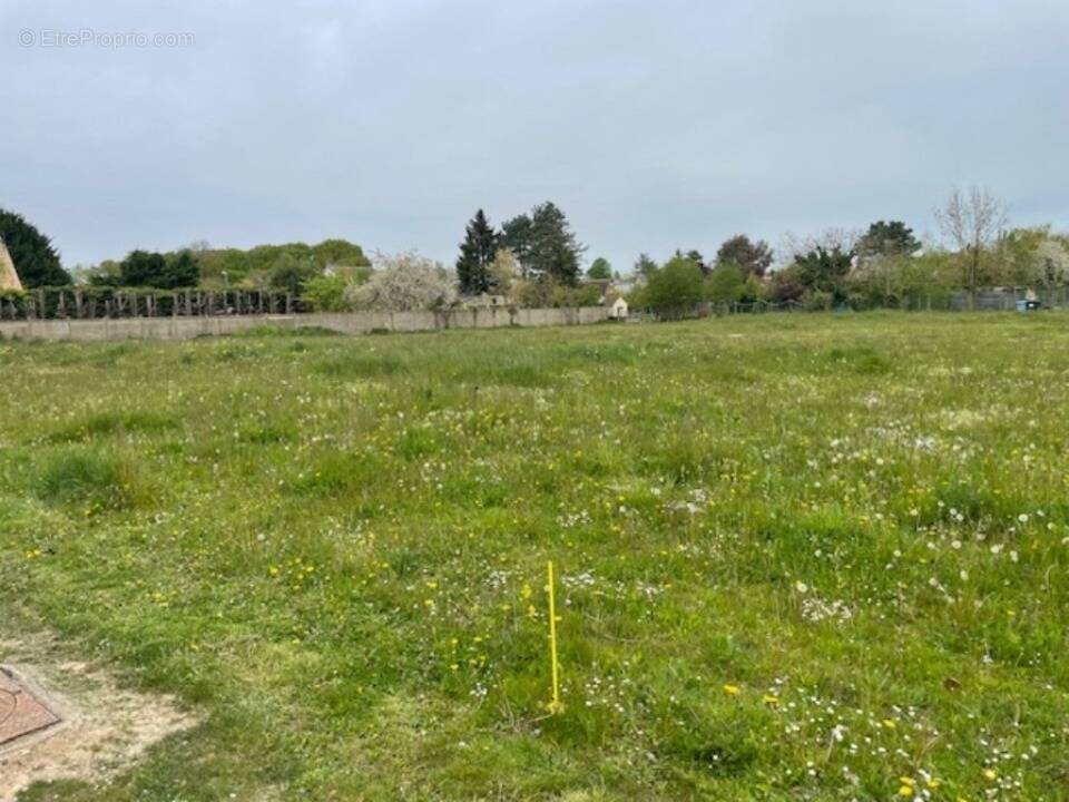 Terrain à COLTAINVILLE