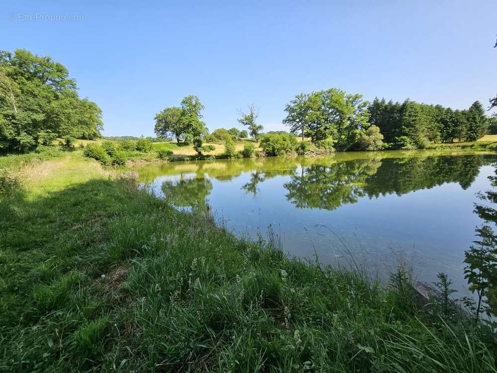 Autre à SAINT-PRIEST-LA-FEUILLE