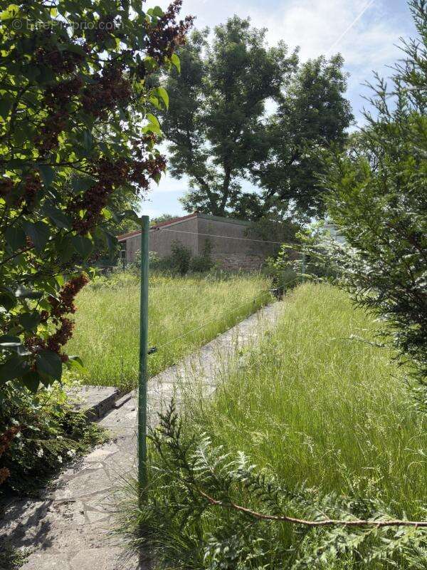 À vendre – Maison 5 pièces avec jardin, sous-sol et dépendance – St-Charles 54860 - photo 3