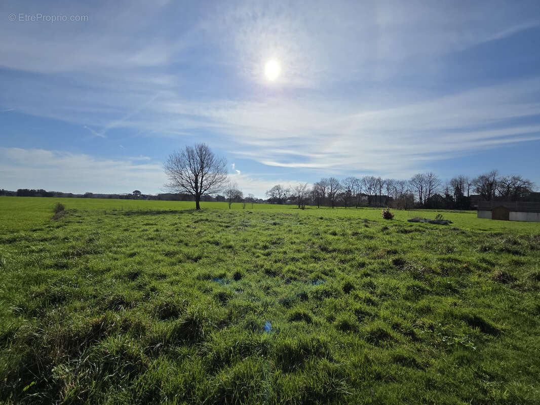BADEN, exclusivité MOCQUARD immobilier.  Situé sur la commune de Baden, dans un environnement  agréable. - photo 3