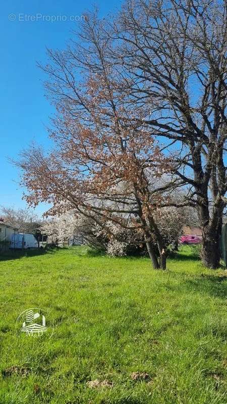 Terrain à PLAISANCE-DU-TOUCH