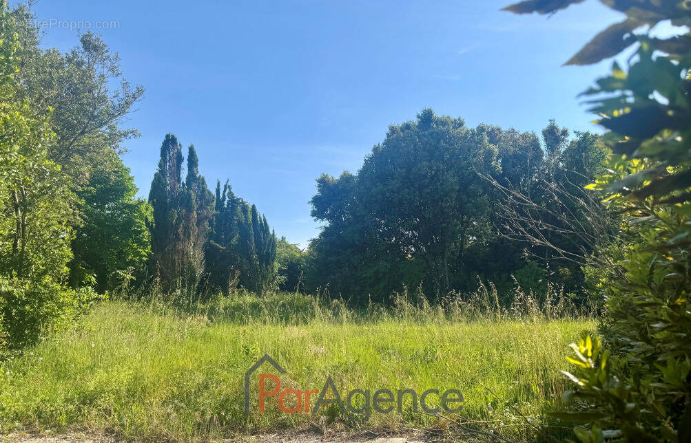 Terrain à VAUX-SUR-MER